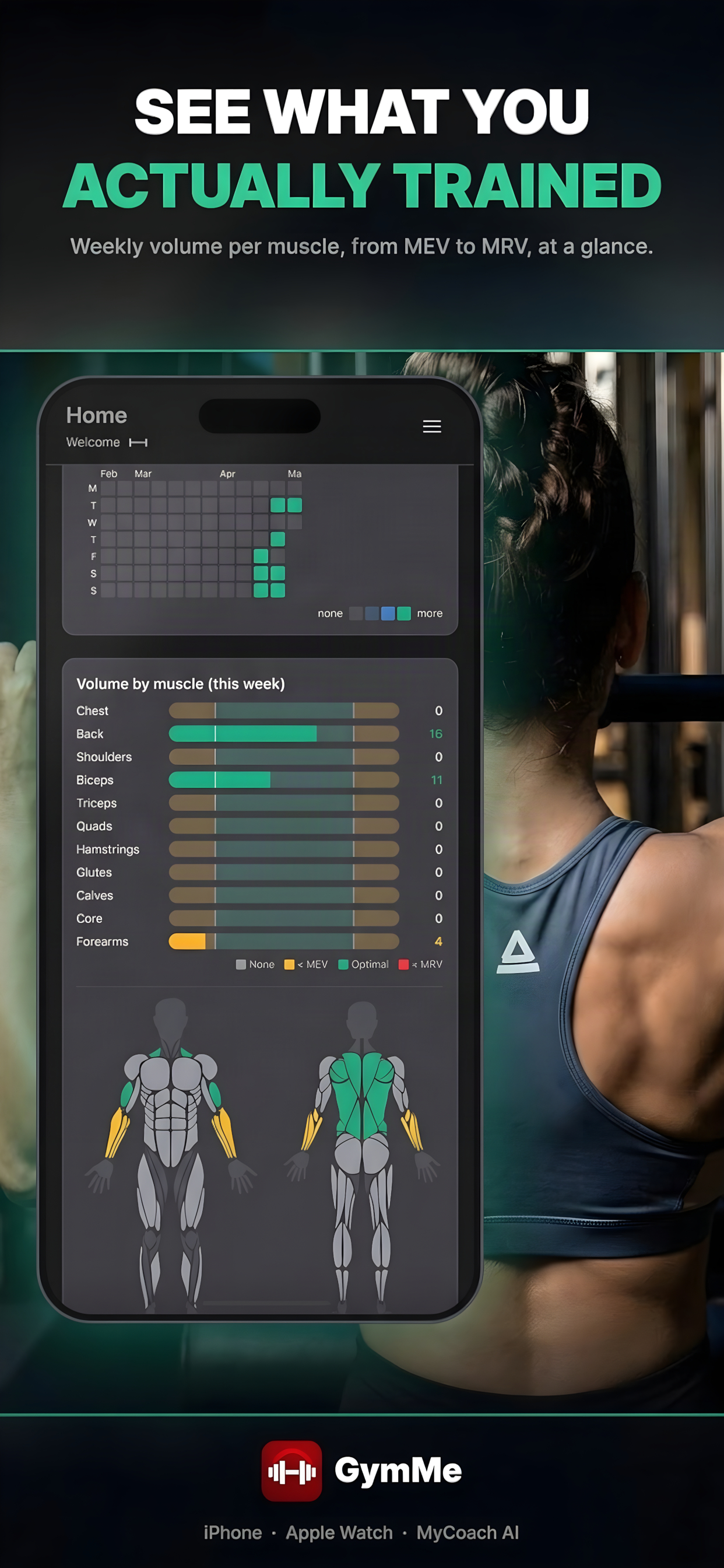 GymMe: volume by muscle